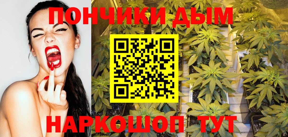 Конопля сатива Южноуральск